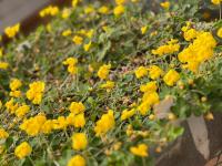 WhatsApp Image 2025-12-03 at 15-26-50.jpeg